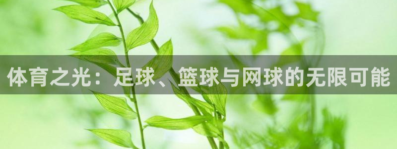 3377体育官方正版app开户:体育之光:足球、篮球与网球的