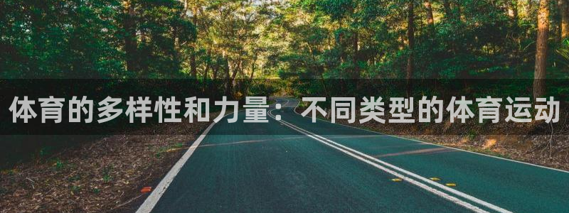 3377体育官方正版app官方:体育的多样性和力量:不同类型