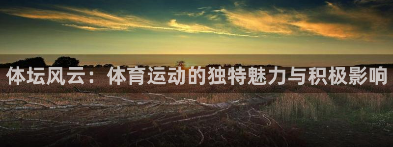 3377体育官网下载招商电话:体坛风云:体育运动的独特魅力与