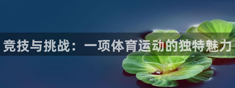3377体育官网下载软件:竞技与挑战:一项体育运动的独特魅力