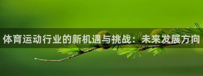 3377体育官方正版app集团:体育运动行业的新机遇与挑战: